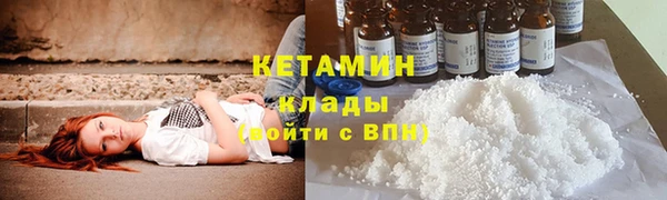 ПСИЛОЦИБИНОВЫЕ ГРИБЫ Вяземский